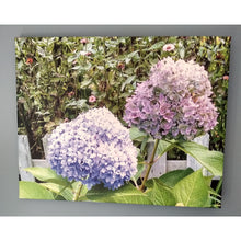 Load image into Gallery viewer, ART -Summer Hydrangea Flower Canvas Photo Print