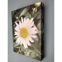 Load image into Gallery viewer, ART -The Perfect Daisy canvas