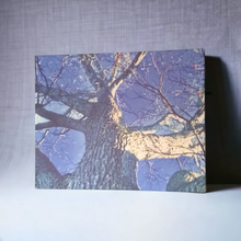 Load image into Gallery viewer, ART -BLUE Sky Canvas Print