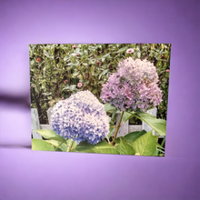 Load image into Gallery viewer, ART -Summer Hydrangea Flower Canvas Photo Print
