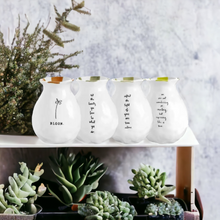 Load image into Gallery viewer, Pottery - Bloom Vases