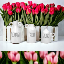 Load image into Gallery viewer, Pottery -  Loop Handle Bud Vases